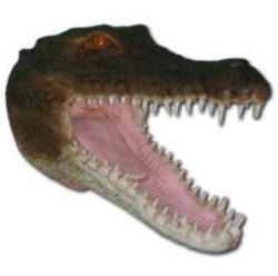 Krokodyl glowa K739