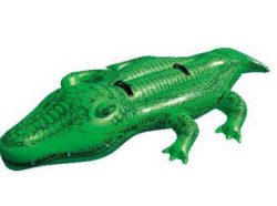 Crocodi Bath animal