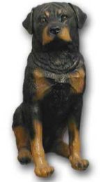 Dog Rottweiler K289