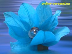 Wasserlaterne Lotusblume blau