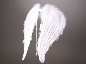 Angel wing smal