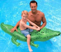 Crocodile Mount