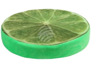 Design Motiv Kissen Limette Farbe grn