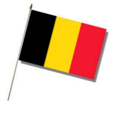 Flag at wood staff Belgium