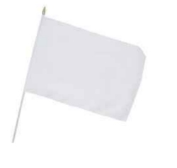 Flag at wood staff  white flag