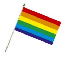 Flag at wood staff  Rainbow