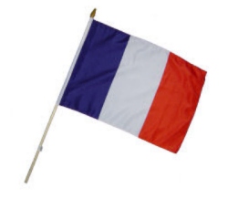 Fahne an Holzstab Frankreich