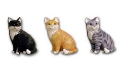 Katze sitzend grau K454