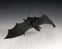 Fledermaus gro