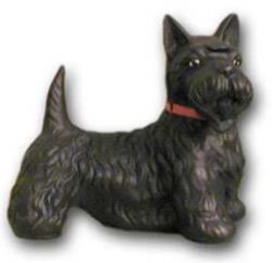 Dog Schnauzer K235A