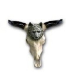 Grinder on deaths head K336