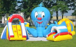 Playground Octopus