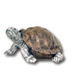 Turtle K603