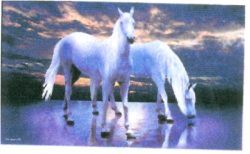 Flag 2 white horses