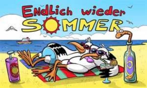 Fahne Endlich wieder Sommer