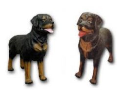 Dog Rottweiler K399