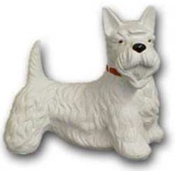 Dog Schnauzer K235B