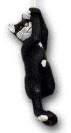 Katze h�ngend K587