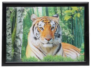 3D Bild Tiger Modell B