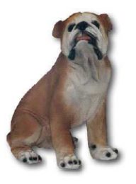 Dog Boxer K545A