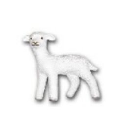 Lamb K245