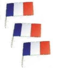 Flag France