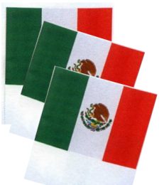 Flag Mexico