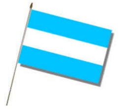 Flag at wood staff Argentina