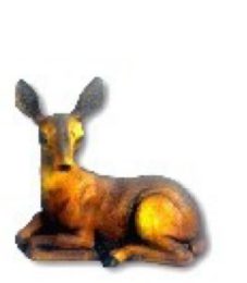 Reh Kitz liegend K636A