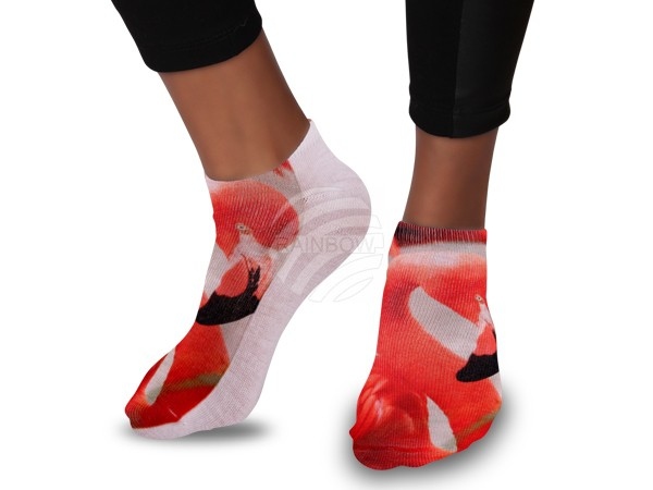 Motif-Socks Cat Space Flamingo SO-37