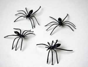 Spinnen schwarz