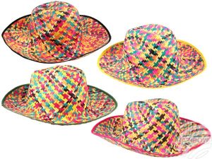 Straw hat Beach hat Party hat sorted