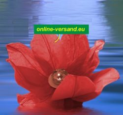 Woda latarnia lotosu czerwony