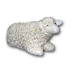 Sheep K242