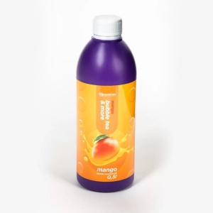 EU Premium Sirup Geschmack Mango 0,5l
