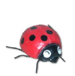 Ladybug K685