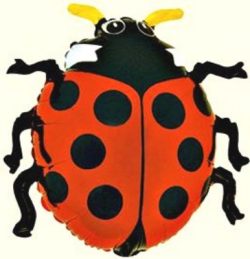 Foil balloon Ladybird