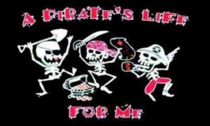 Fahne Pirat A Pirates Life
