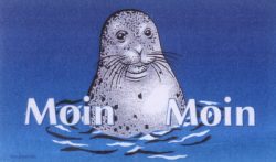 Fahne Moin Moin
