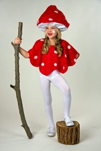 Toadstool Set Child