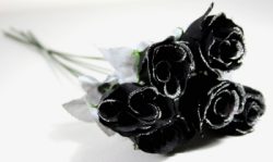 Rosebud black 45cm