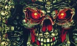Fahne Pirat SKULLS