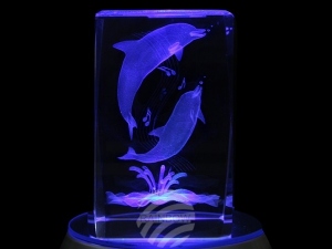 Crystal cuboid Dolphins