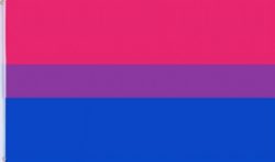 Flag Bi pride