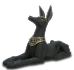 Jackal black gold 83 cm