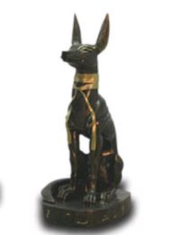 Jackal black gold 46 cm