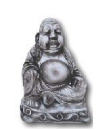 Budda 571B