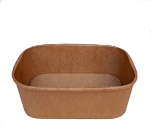 Salat-, Snackschale to go rechteck 750ml 100 Stck