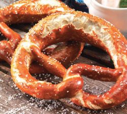 Lug precel Swabian typu