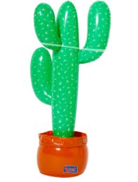 Cactus 85